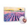 Maľovanie podľa čísel na plátno LEVANDUĽOVÉ POLE – nízka náročnosť 60x40 cm (Sada na maľovanie podľa čísel ARTMIE) Maľovanie podľa čísel na plátno LEVANDUĽOVÉ POLE – nízka náročnosť 60x40 cm (Sada na maľovanie podľa čísel ARTMIE)
