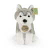 Rappa Plyšový pes husky sedící 23 cm SOFT COLLECTION, ECO-FRIENDLY Rappa Plyšový pes husky sedící 23 cm SOFT COLLECTION, ECO-FRIENDLY