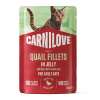 Carnilove Cat Pouch Jelly rich in Quail enriched with Dandelion 85 g Carnilove Cat Pouch Jelly rich in Quail enriched with Dandelion 85 g