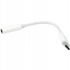 Samsung GP-TGU023AE USB-C - 3,5 mm jack biely Samsung GP-TGU023AE USB-C - 3,5 mm jack biely