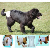 Chopo Pet Plenky pro psy vel. 4A 9-14 kg 15 ks Chopo Pet Plenky pro psy vel. 4A 9-14 kg 15 ks