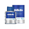 Gillette Refreshing Arctic Ice voda po holení 100 ml Gillette Refreshing Arctic Ice voda po holení 100 ml
