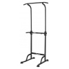 inSPORTline Power Tower PT60 inSPORTline Power Tower PT60