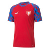 Puma Facr Prematch Pánské tričko 767651 05 Puma Facr Prematch Pánské tričko 767651 05