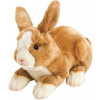 Suki feny Bunny Suki feny Bunny
