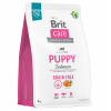 Brit Care (VAFO Praha s.r.o.) Brit Care Dog Grain-free Puppy 3kg
