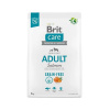Brit Care Dog Adult Grain-free Salmon 3 kg Brit Care Dog Adult Grain-free Salmon 3 kg