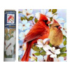 Norimpex Puzzle diamantová maľba: Vtáky na konári 30 x 40cm 1-39 dielov Norimpex Puzzle diamantová maľba: Vtáky na konári 30 x 40cm 1-39 dielov
