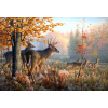 Diamantové malování Norimpex 40x30 cm Jeleni v podzimní mlze Diamantové malování Norimpex 40x30 cm Jeleni v podzimní mlze