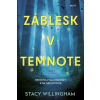 Záblesk v temnote - Willingham Stacy Záblesk v temnote - Willingham Stacy