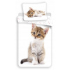 Jerry Fabrics Obliečky Kitten white 140x200 70x90 Jerry Fabrics Obliečky Kitten white 140x200 70x90