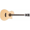 D'Angelico Premier Fulton LS Satin Vintage Natural D'Angelico Premier Fulton LS Satin Vintage Natural