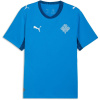 Puma Iceland Home Shirt World Cup 2026 Adults Blue/White M Puma Iceland Home Shirt World Cup 2026 Adults Blue/White M