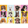 TREFL Puzzle Roztomilí psíkovia 60 dielikov TREFL Puzzle Roztomilí psíkovia 60 dielikov