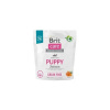Brit Care Dog Puppy Grain-free Salmon 1 kg Brit Care Dog Puppy Grain-free Salmon 1 kg