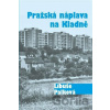 Pražská náplava na Kladně - Libuše Palková Pražská náplava na Kladně - Libuše Palková