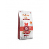 CALIBRA Dog Life Adult Small Fresh Beef 6 kg s hovädzím mäsom pre psov malých plemien CALIBRA Dog Life Adult Small Fresh Beef 6 kg s hovädzím mäsom pre psov malých plemien