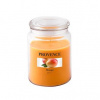 Provence Mango 510 g Provence Mango 510 g