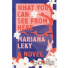 What You Can See from Here - Mariana Leky What You Can See from Here - Mariana Leky
