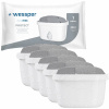 Filtračná patróna do kanvice Wessper aquamax PROTECT 5 ks Filtračná patróna do kanvice Wessper aquamax PROTECT 5 ks