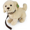 RAPPA Plyšový pes zlatý retriever stojaci s vodítkom 25 cm ECO-FRIENDLY RAPPA Plyšový pes zlatý retriever stojaci s vodítkom 25 cm ECO-FRIENDLY