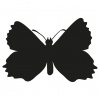 Motýľ - samolepiaca dekoračná nálepka 90x90cm Motýľ - samolepiaca dekoračná nálepka 90x90cm