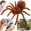 Pavúk ovládaný diaľkovým ovládačom na infračervené žiarenie Pavúk ovládaný diaľkovým ovládačom na infračervené žiarenie