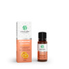 Pomaranč 100% silica 10 ml - Green idea Pomaranč 100% silica 10 ml - Green idea