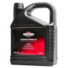 BRIGGS & STRATTON OLEJ SAE30 4T 100009E 5L BRIGGS & STRATTON OLEJ SAE30 4T 100009E 5L