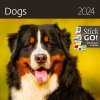 Nástenný kalendár Dogs 2024 Nástenný kalendár Dogs 2024