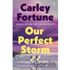 Our Perfect Storm - Carley Fortune Our Perfect Storm - Carley Fortune