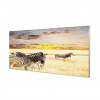Zebra Canvas Painting Sunset 120x60 (Zebra akrylová maľba Sunset Field 120x60 cm) Zebra Canvas Painting Sunset 120x60 (Zebra akrylová maľba Sunset Field 120x60 cm)