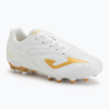 Detské kopačky Joma Evolution Jr 2602 FG white Detské kopačky Joma Evolution Jr 2602 FG white