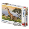 Dino Žirafia rodina 1000 dielov Dino Žirafia rodina 1000 dielov