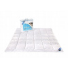 Perina, paplón - Prikrývka AMW 100 x 135 cm (Prikrývka AMW Medicare 100x135 450G antialergický) Perina, paplón - Prikrývka AMW 100 x 135 cm (Prikrývka AMW Medicare 100x135 450G antialergický)