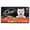 Cesar mokré krmivo pre psov 150g-4ks Cesar mokré krmivo pre psov 150g-4ks