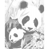 ZUTY Bodkovanie - PANDA S MLÁĎATOM Rámovanie: vypnuté plátno na rám, Rozmer: 40x50 cm ZUTY Bodkovanie - PANDA S MLÁĎATOM Rámovanie: vypnuté plátno na rám, Rozmer: 40x50 cm