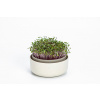 Plastia Microgreens - slonová kosť s kávovou usadeninou Plastia Microgreens - slonová kosť s kávovou usadeninou