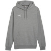 Puma Team Goal Casuals Hoody M 658618 33 Puma Team Goal Casuals Hoody M 658618 33
