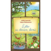 Léto ve starém domě - Hana Pinknerová, Adéla Jaworek Léto ve starém domě - Hana Pinknerová, Adéla Jaworek