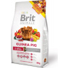 Krmení pro morčata Brit Animals Guinea Pig Complete, 1,5 kg Krmení pro morčata Brit Animals Guinea Pig Complete, 1,5 kg