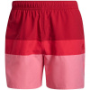Adidas Colorb M GU0312 shorts (75017) M Adidas Colorb M GU0312 shorts (75017) M
