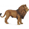 Collecta Lev africký Collecta Lev africký