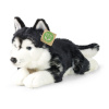 Plyšový pes husky 36 cm ECO-FRIENDLY Plyšový pes husky 36 cm ECO-FRIENDLY