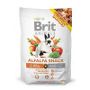 Brit Animals Alfalfa Snack for Rodents 100 g Brit Animals Alfalfa Snack for Rodents 100 g