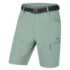Pánske šortky Husky Kimbi M light green, S Pánske šortky Husky Kimbi M light green, S