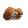 Marhule Sušené 700g (Armeniaca vulgaris) Marhule Sušené 700g (Armeniaca vulgaris)
