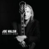 CD Joe Walsh - ANALOG MAN CD Joe Walsh - ANALOG MAN