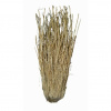 Lucky Reptile Grass Bushes Lucky Reptile Grass Bushes