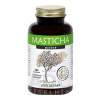 MASTICHA ACTIVE - Apothecary cps 1x100 ks MASTICHA ACTIVE - Apothecary cps 1x100 ks